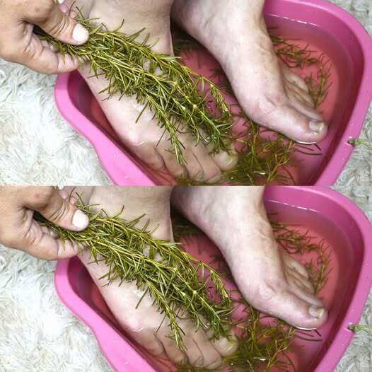 Soak Your Feet with Rosemary 1