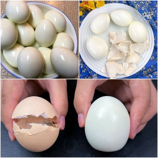 Boiled Eggs: Why You Should Avoid Cold Water Directly Into the Pot 1