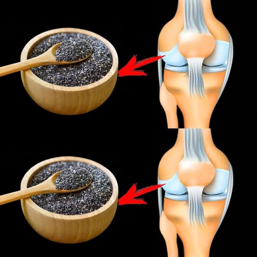 Nourish Your Knees with Chia Seeds 1
