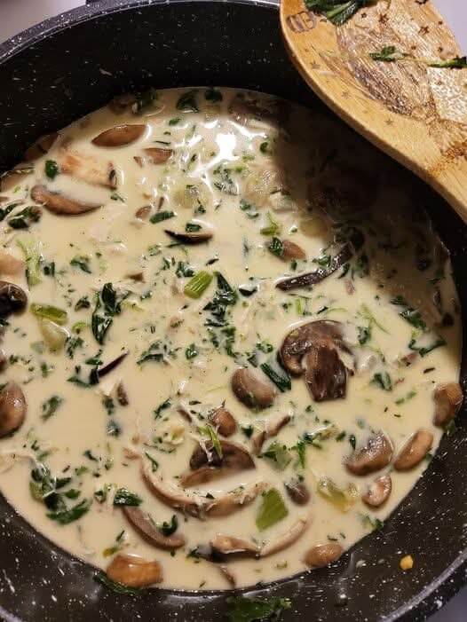 Mediterranean Creamy Rotisserie Chicken Mushroom Soup 1