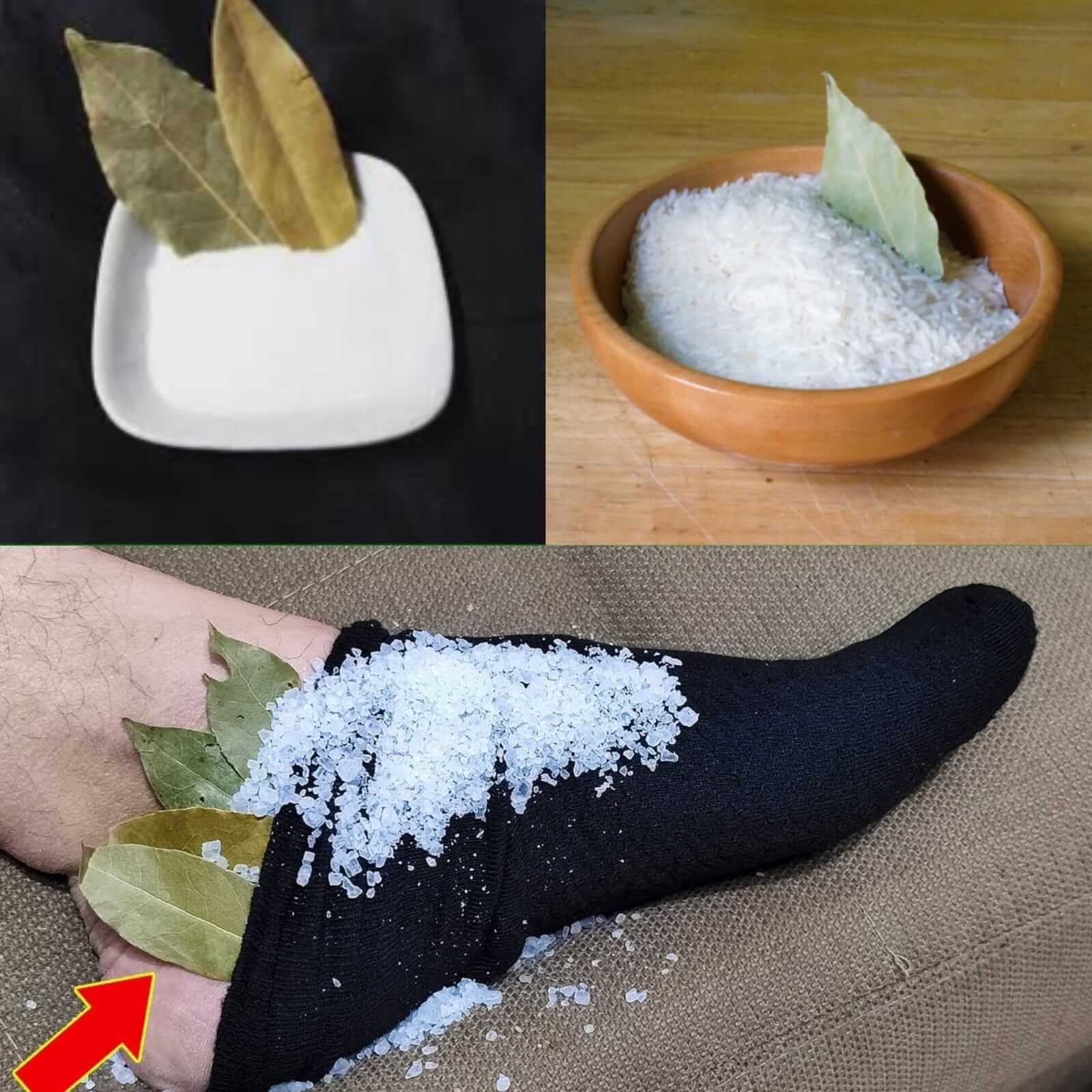 Just Add Bay Leaves and Salt  Stop Wasting Money at the Pharmacy 1