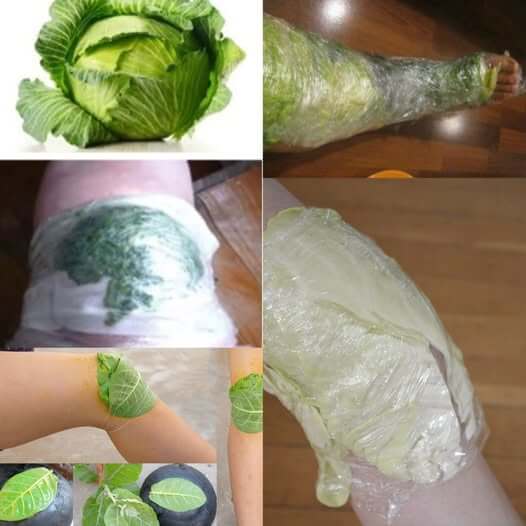 Use This Leaf Cabbage to the Rescue to Reduce Knee Pain in Ten Minutes 1