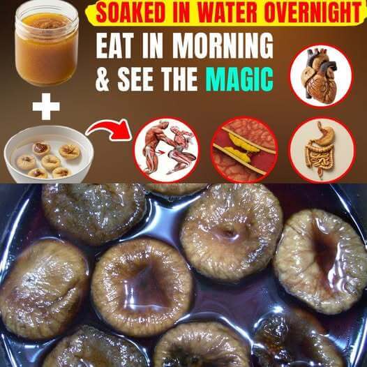 Discover the Magic of Soaked Figs for Your Health 1