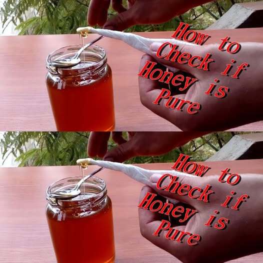 How to Check if Honey is Pure 5 Simple Methods 1