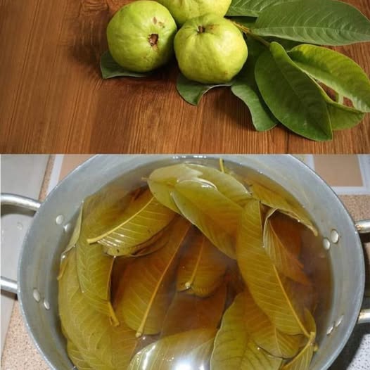 The Ultimate Morning and Evening Herbal Tea 1