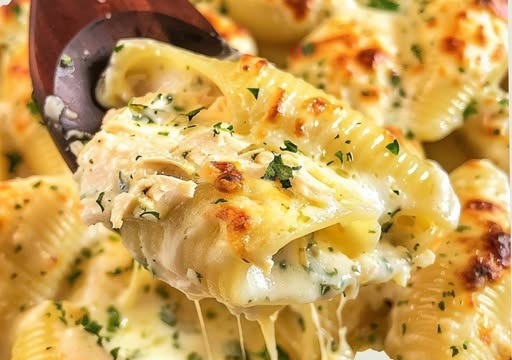 Million Dollar Chicken Alfredo Stuffed Shells  1