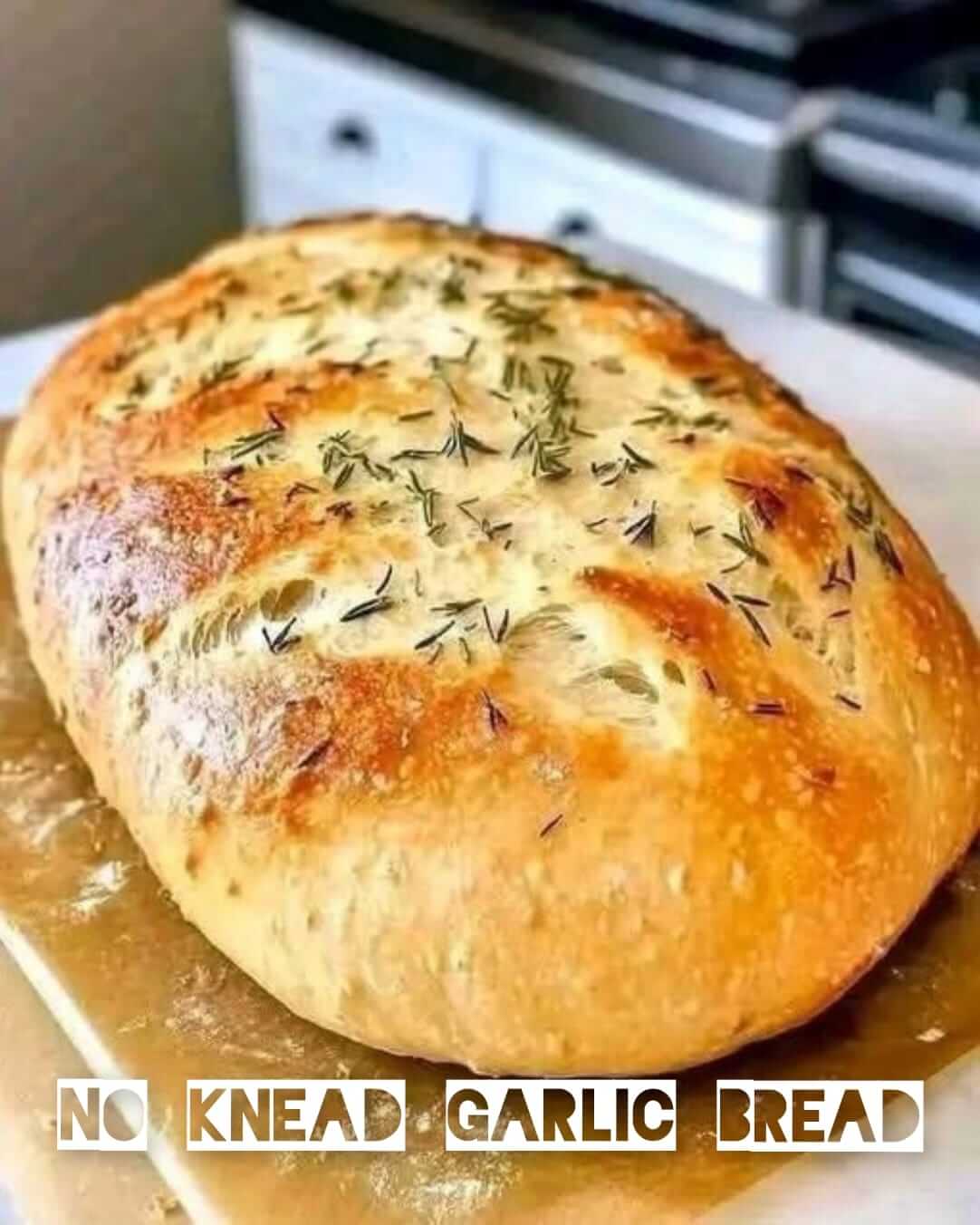 no Knead Garlic Herb Bread 1