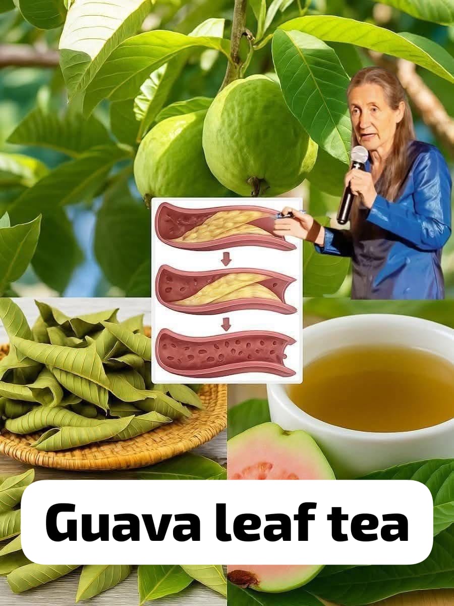 Making Guava Leaf Tea 1