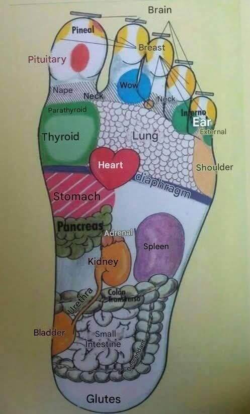 Put Oil on the Soles of Your Feet: An Ancient Practice with Surprising Benefits 1