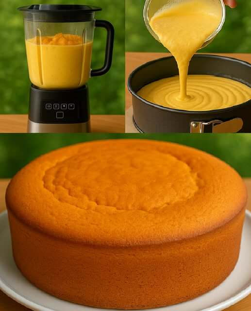 Orange Blender Cake 1