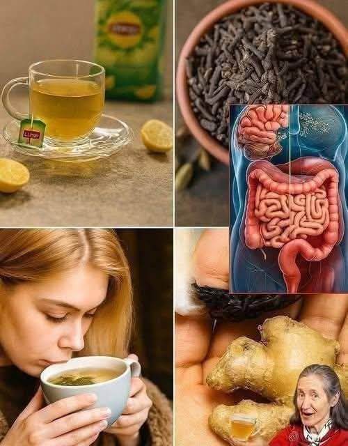 Golden Wellness Tea for Digestion & Immunity 1