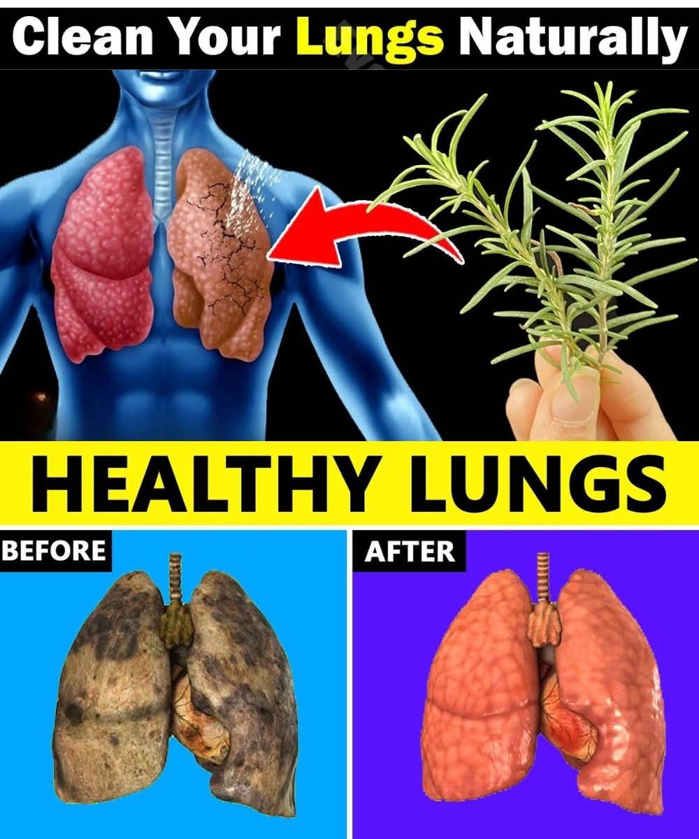 Using Rosemary Herbal Tea to Clear Your Lungs and Throat of Mucus 1