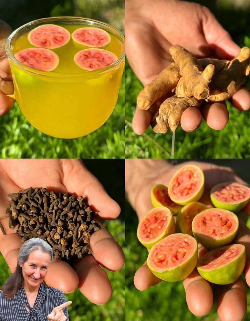 Guava Hibiscus Ginger Drink to Help Lift the Burden of Chronic Illnesses 1