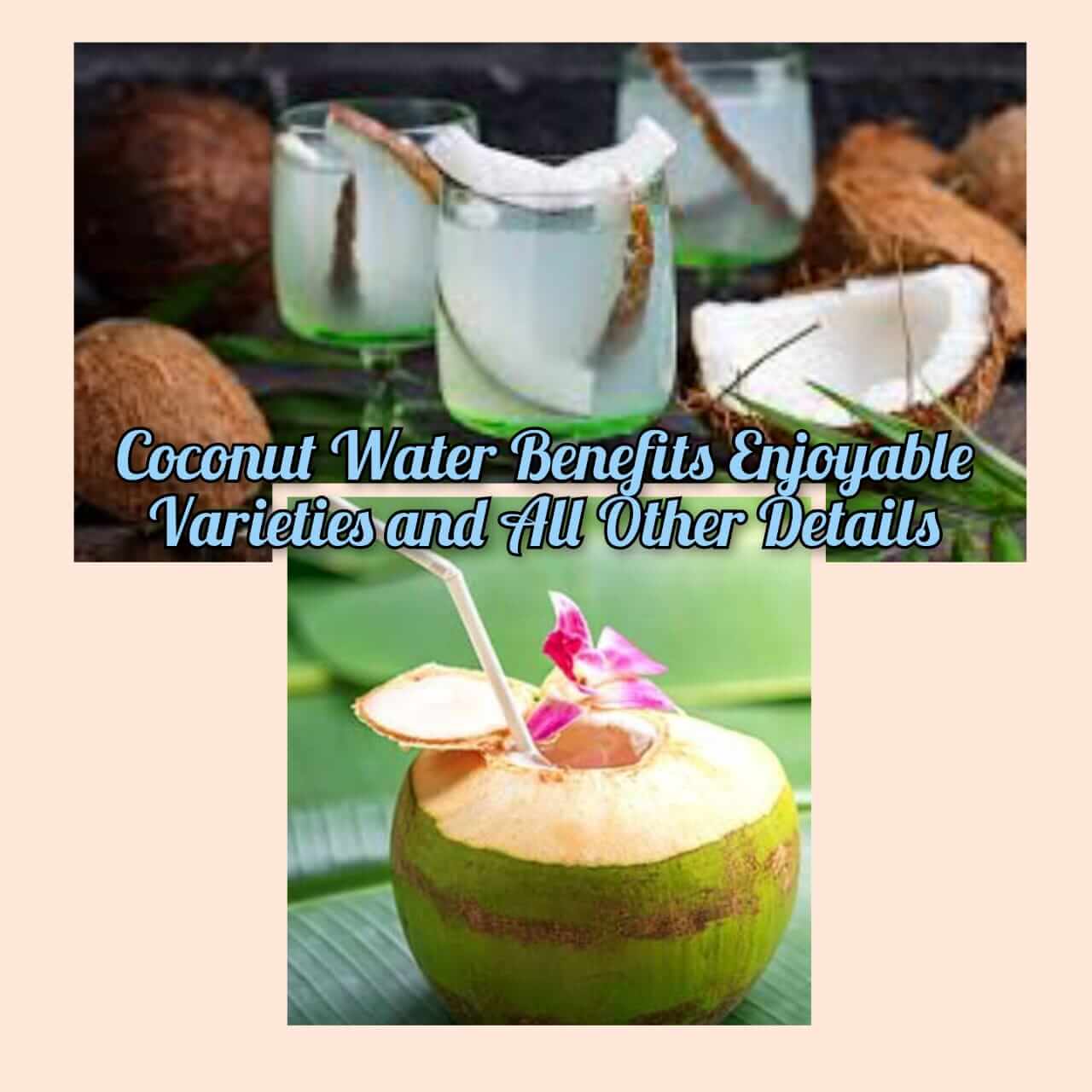 Coconut Water Benefits Enjoyable Varieties and All Other Details 1