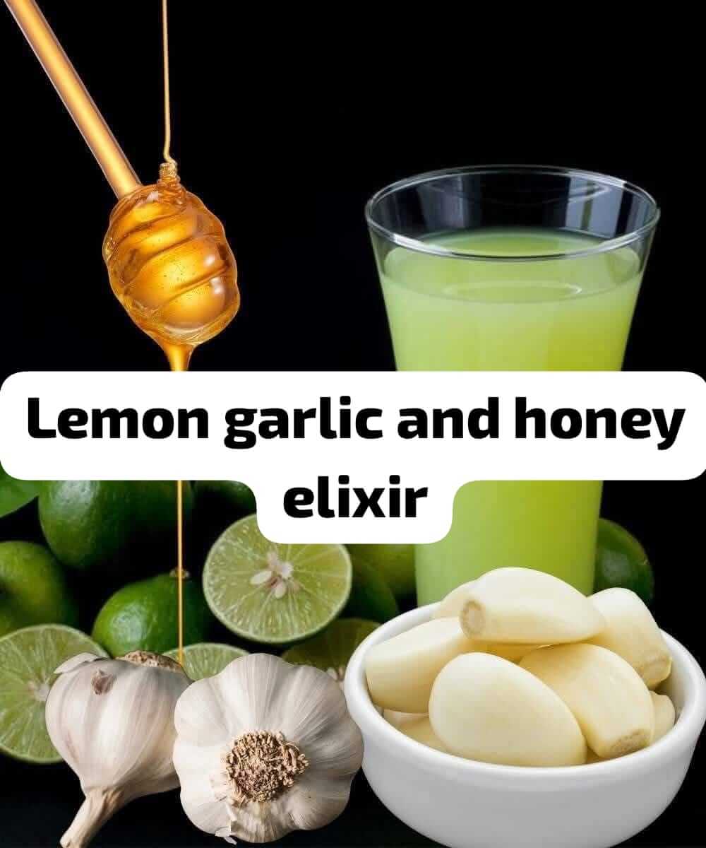 An Elixir Made of Lemon, Garlic, and Honey 1