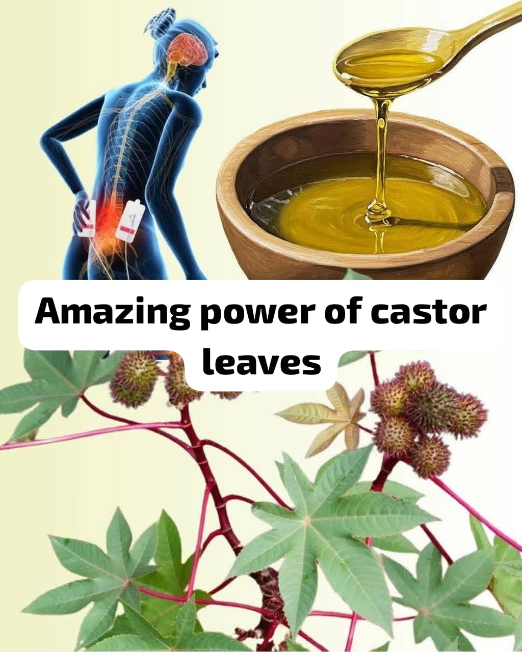 The Incredible Strength of Castor Leaves 1