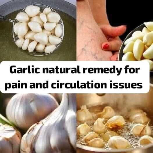 Garlic A Natural Treatment for Circulation Problems and Pain 1