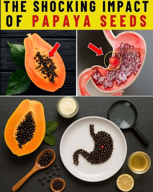 Eating papaya seeds like this will help you get gentle health support 1
