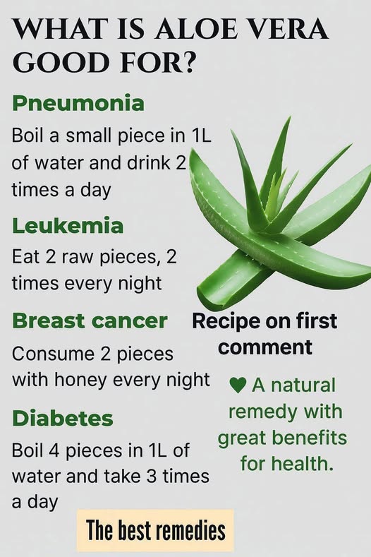 Aloe Vera Natural Remedy Guide 1