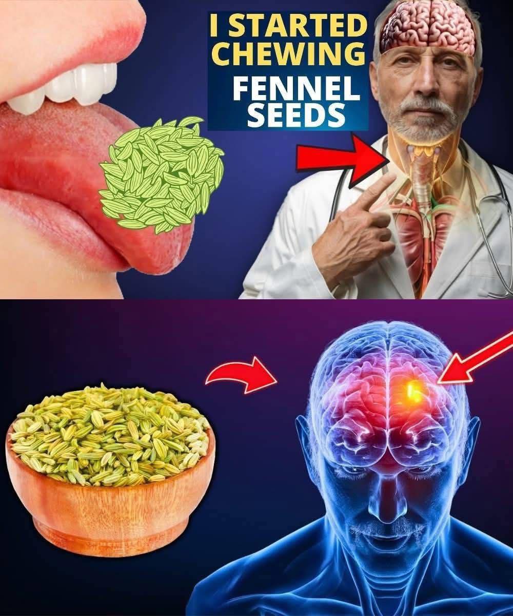 The Effects of Daily Fennel Seed Consumption on Your Body 1