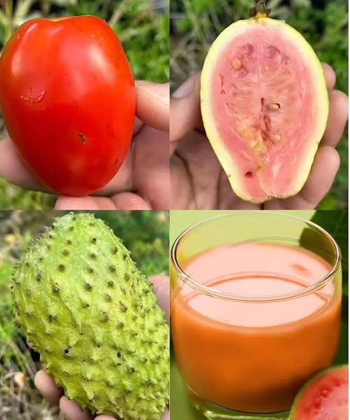 Balance and Vigor are Restored By Natures Healing Elixir 1