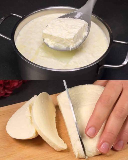 Homemade Cheese Recipe 1