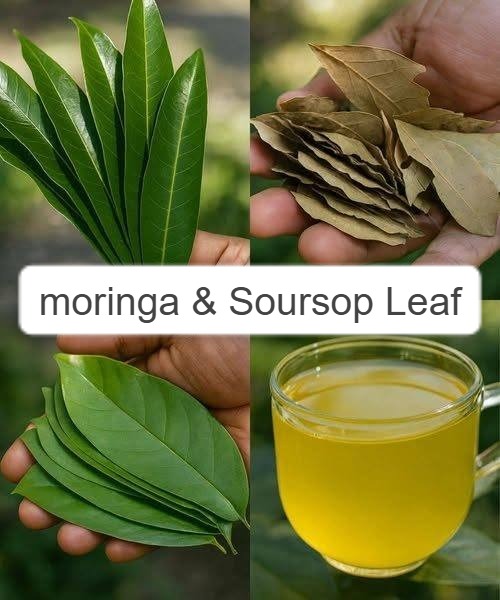 Moringa & Soursop Leaf Wellness Tea Recipe 1