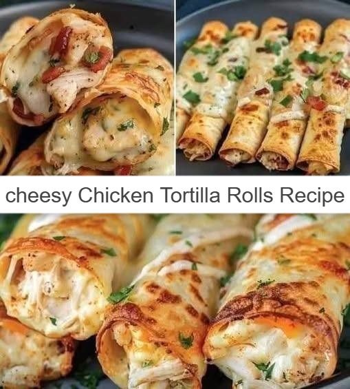 Cheesy Chicken Tortilla Rolls Recipe 1