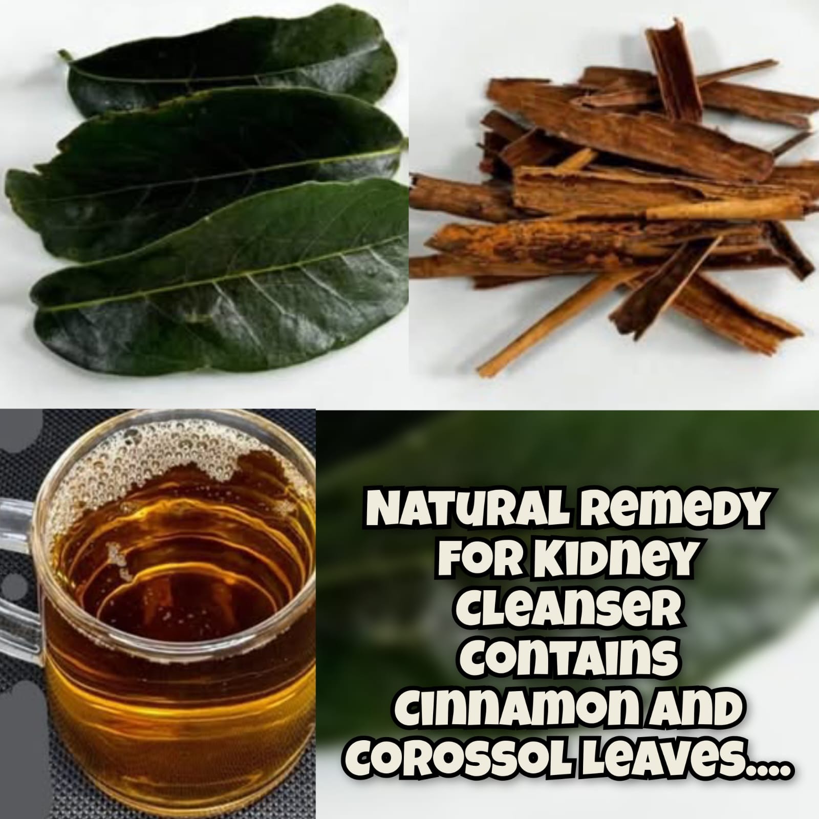 Natural Remedy for Kidney Cleanser Contains Cinnamon and Corossol Leaves 1