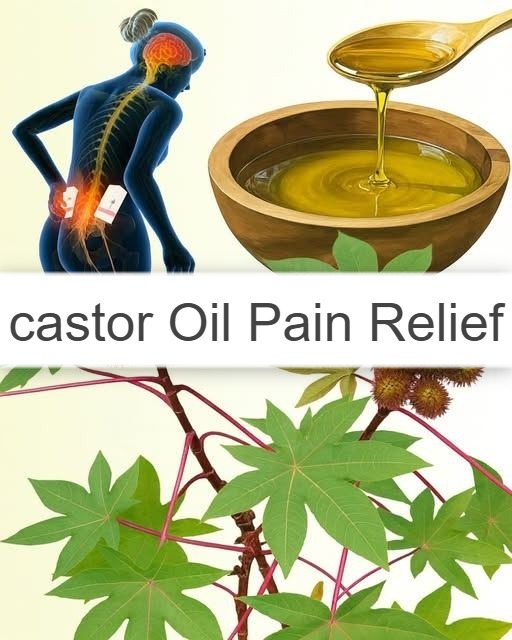 castor Oil Pain Relief Elixir Natural Remedy 1