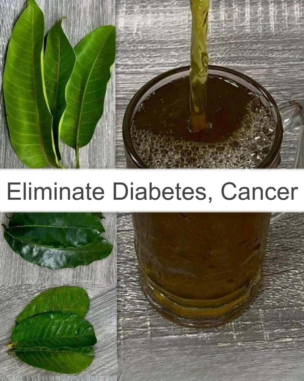 Four Leaves That Eliminate Diabetes, Cancer, Fatty Liver Problems, Poor Circulation, 1
