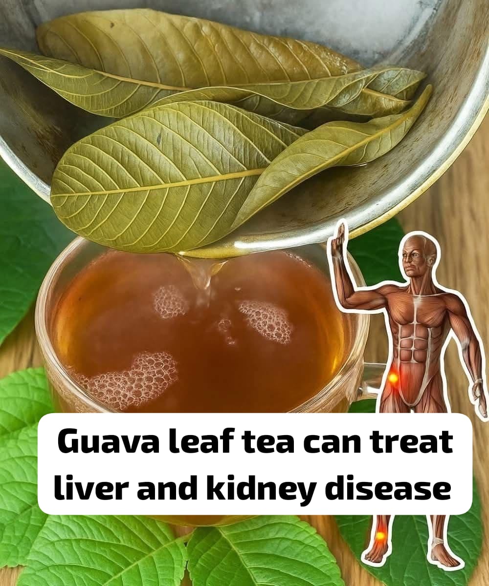 Guava Leaf Tea (Liver & Kidney Support Drink) 1
