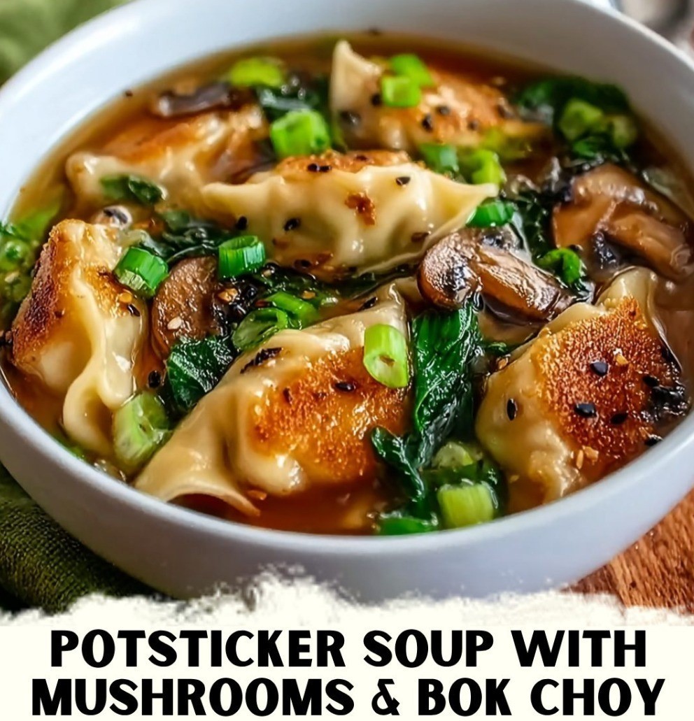 Mediterranean Potsticker Soup With Mushroom & Bok Choy 1
