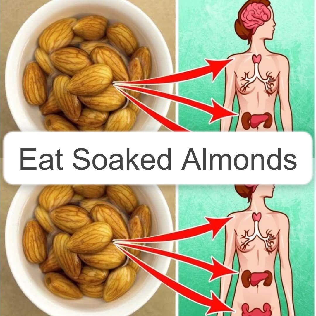 What Really Happens When You Eat Soaked Almonds Every Morning 1