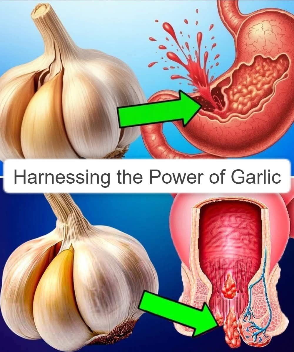 Harnessing the Power of Garlic 1