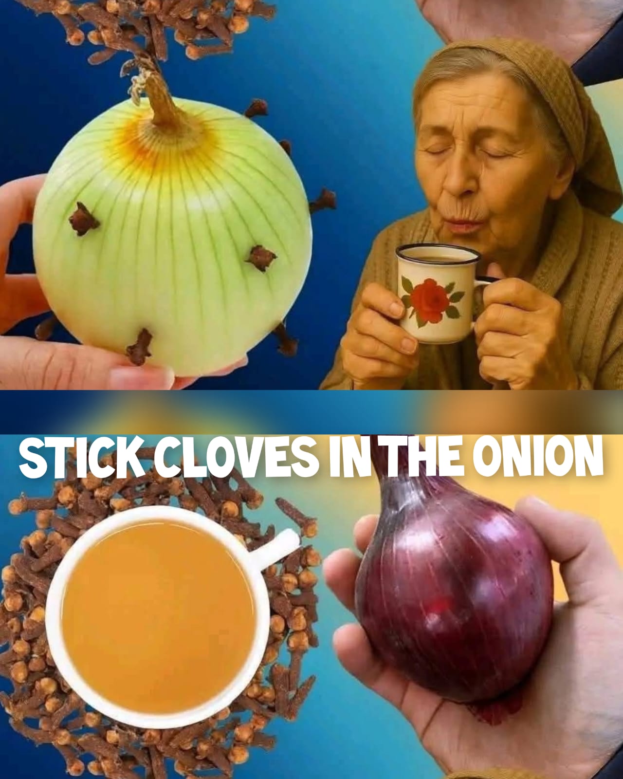 My Grandmother Always Sticks Cloves in the Onion 1