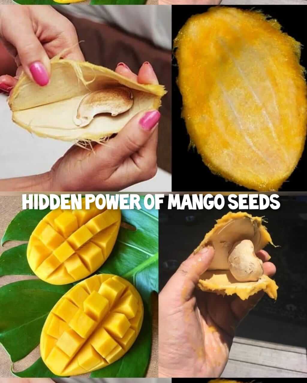 The Hidden Power of Mango Seed 1