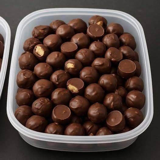 Mediterranean No-Bake High Protein Chocolate Peanut Butter Balls 1