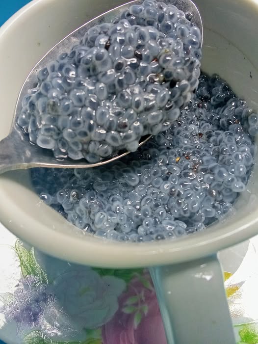 Rose N Basil Seed Falooda 1