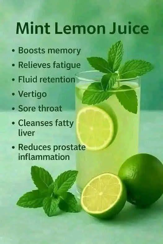 Mint Lemon Juice (Refreshing & Energizing Drink) 1
